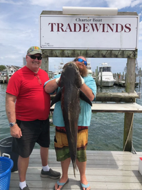 61lb Cobia ON THE DECK!