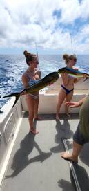 Cabo San Lucas Report Photo 1