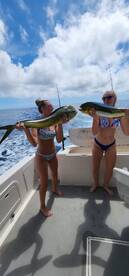 Cabo San Lucas Report Photo 2