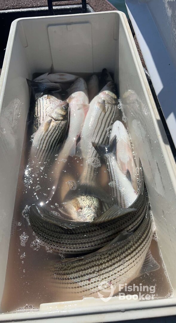 Pottsboro Report Photo 0