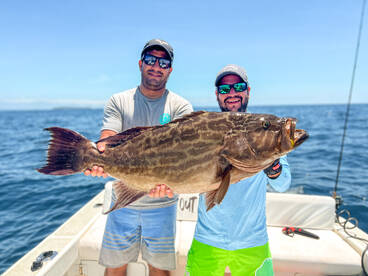 GIANT BROOMTAIL GROUPER  FISHING AT GULF