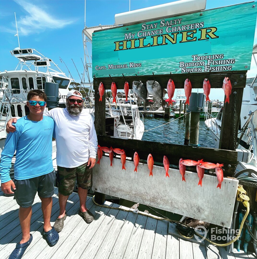 Triggerfish and vermillion snapper 