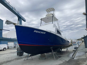 Nags Head Report Photo 2