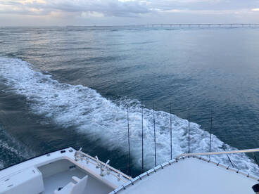 Been hitting the wrecks