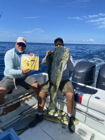 Mahi mahi / black fin tuna / wahoo run /