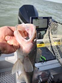 Lakeside Marblehead Report Photo 1