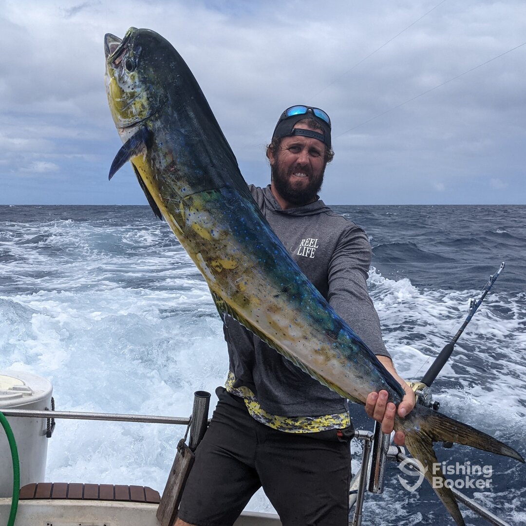 Haleiwa Report Photo 0