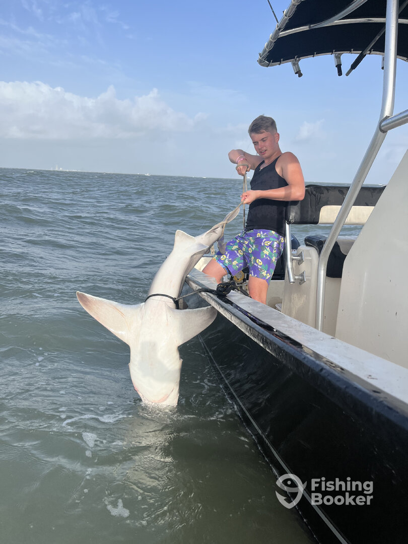 Galveston Report Photo 0