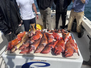 Huntington Beach Report Photo 1