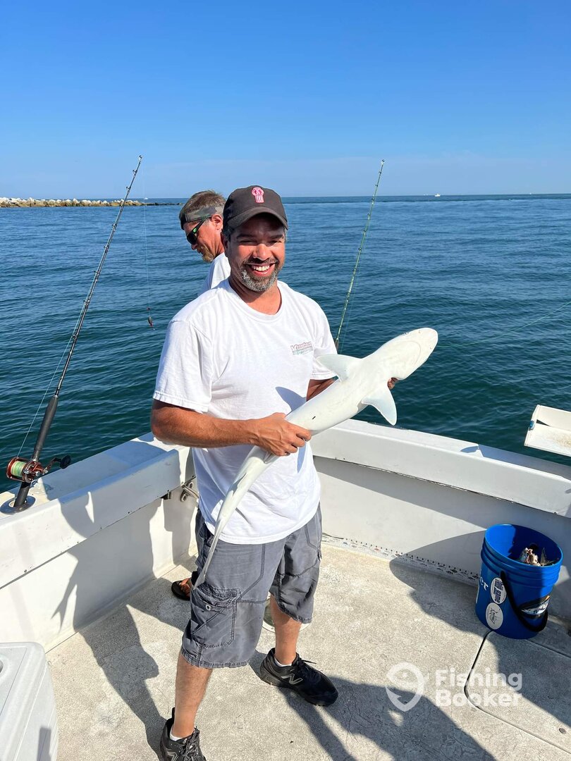 Norfolk Report Photo 0