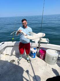 Norfolk Report Photo 1