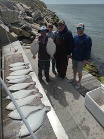 Chincoteague Report Photo 2