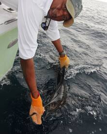 Quepos Report Photo 2