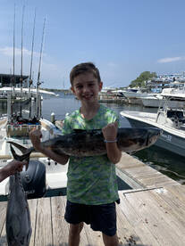 Shalimar Report Photo 1