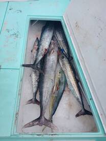 Destin Report Photo 1