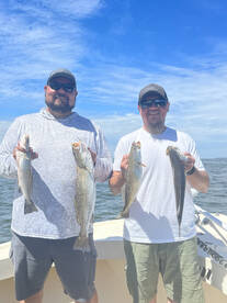 Speckled trout chewing