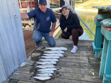 Pottsboro Report Photo 2