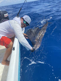 Cancún Report Photo 2