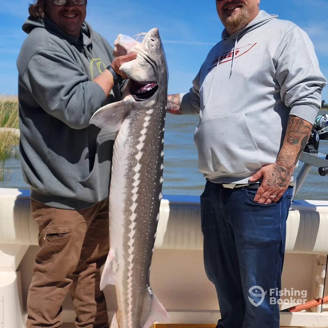 Richmond Report Photo 0