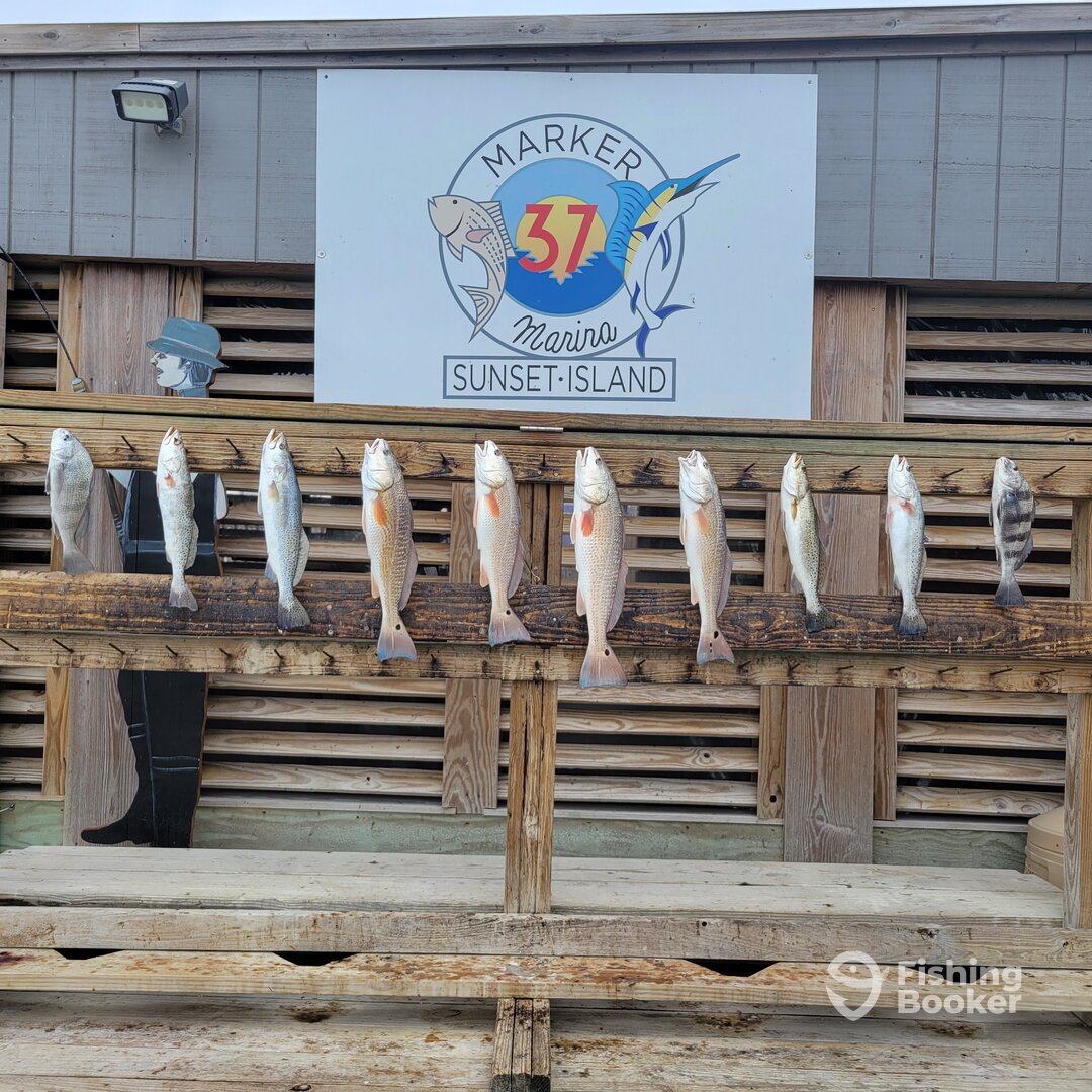 Corpus Christi Report Photo 0