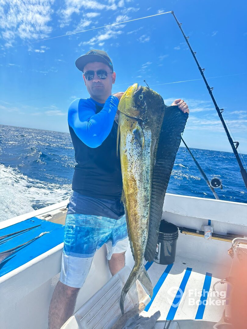 Manzanillo Report Photo 0