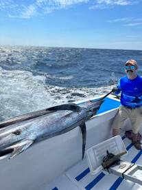 Manzanillo Report Photo 2