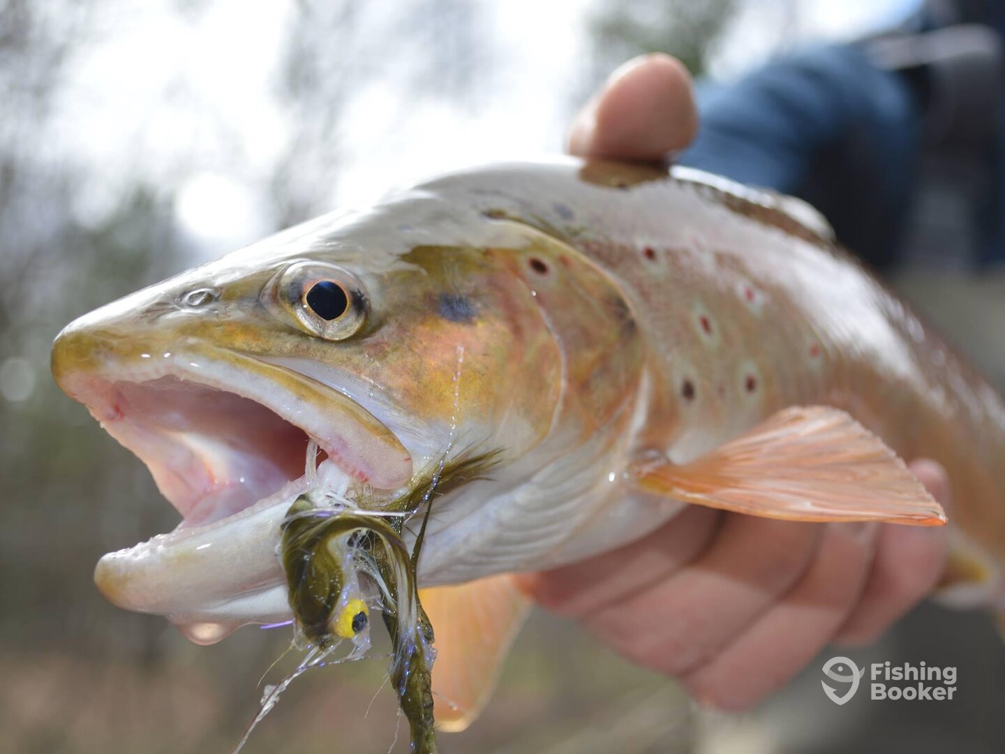 Baldwin Report Photo 0