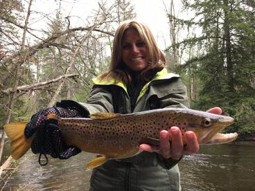 Baldwin Report Photo 2