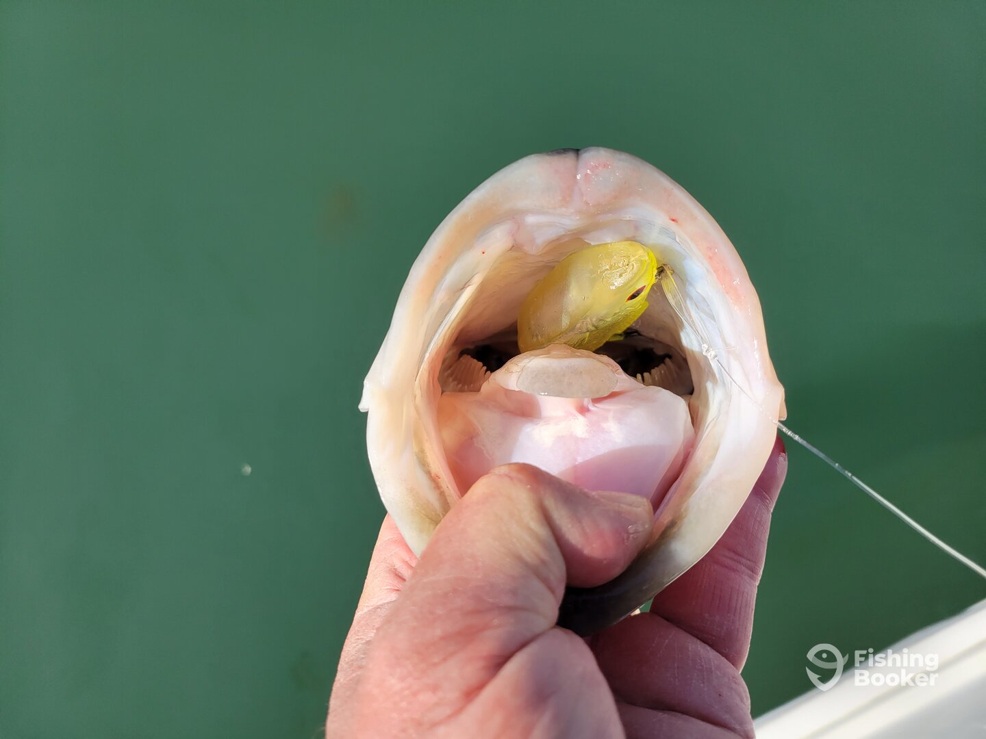 Atlantic City Report Photo 0