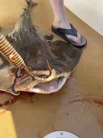 San Diego Report Photo 2