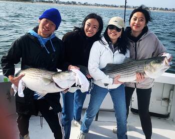 New York City Report Photo 1