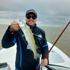 Arrival of the cold! Arrive silverside!