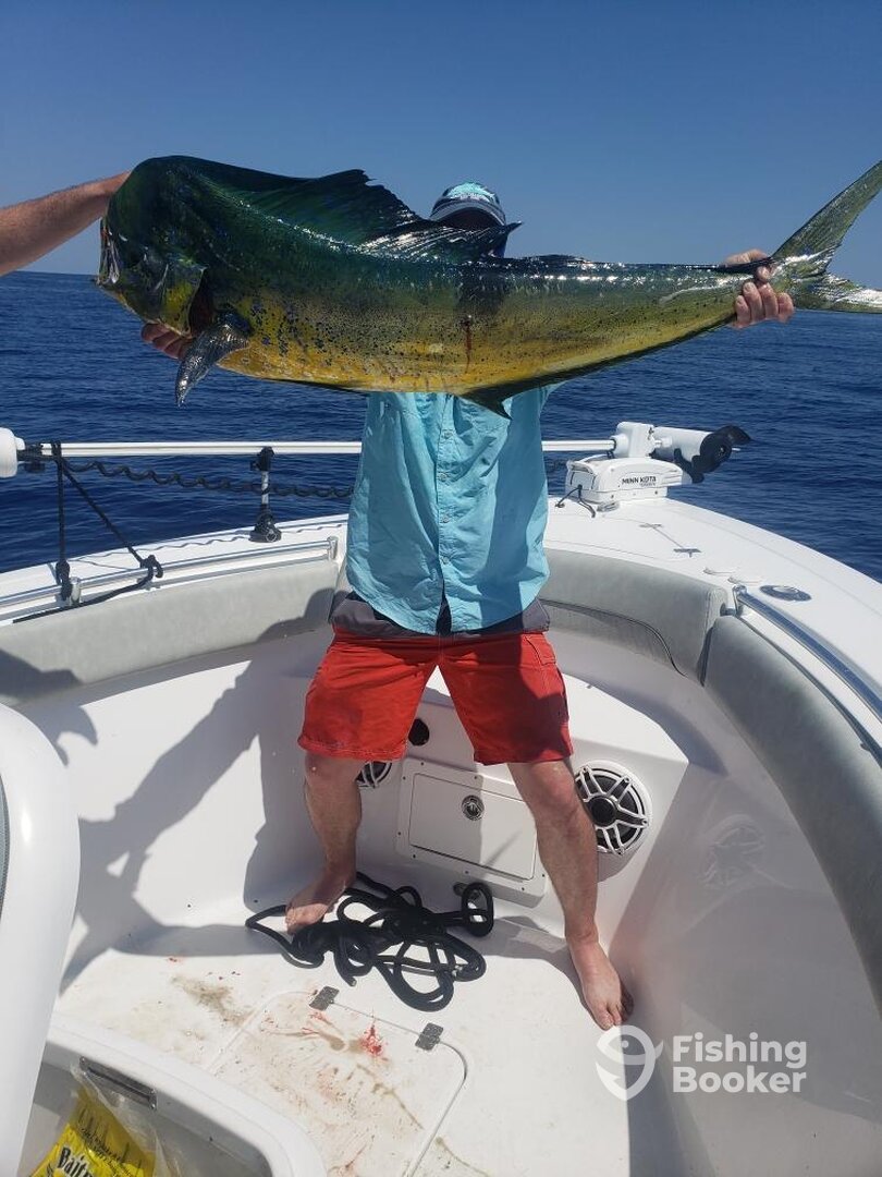 Sneads Ferry Report Photo 0