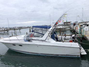 Waukegan limits of coho