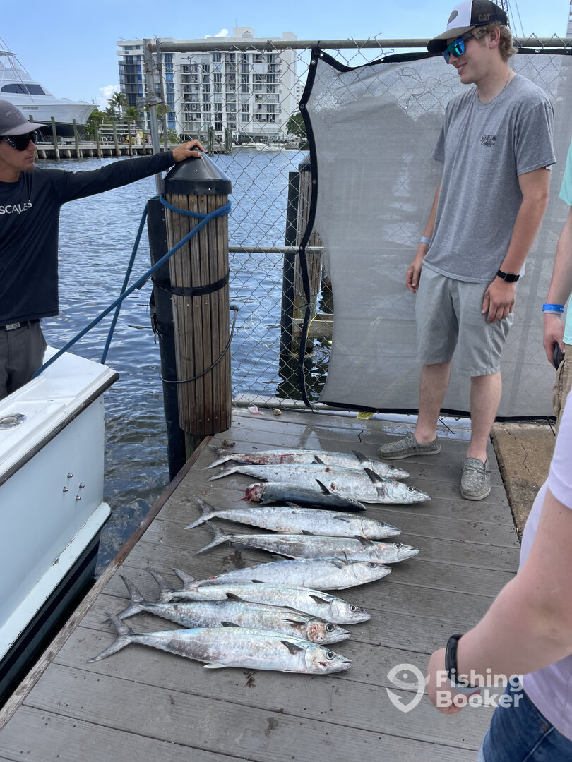 Pompano Beach Report Photo 0