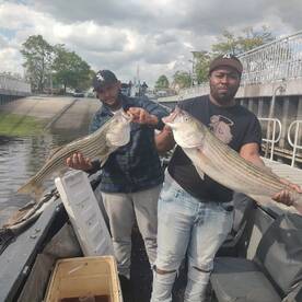 STRIPERS STILL HOT TO THE WEST 