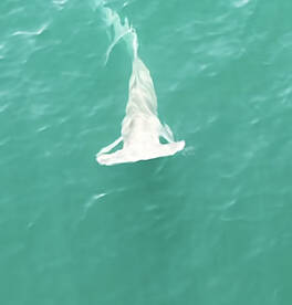 Islamorada Report Photo 1