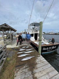 Wanchese Report Photo 1