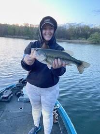 Topwater and Jerk baits