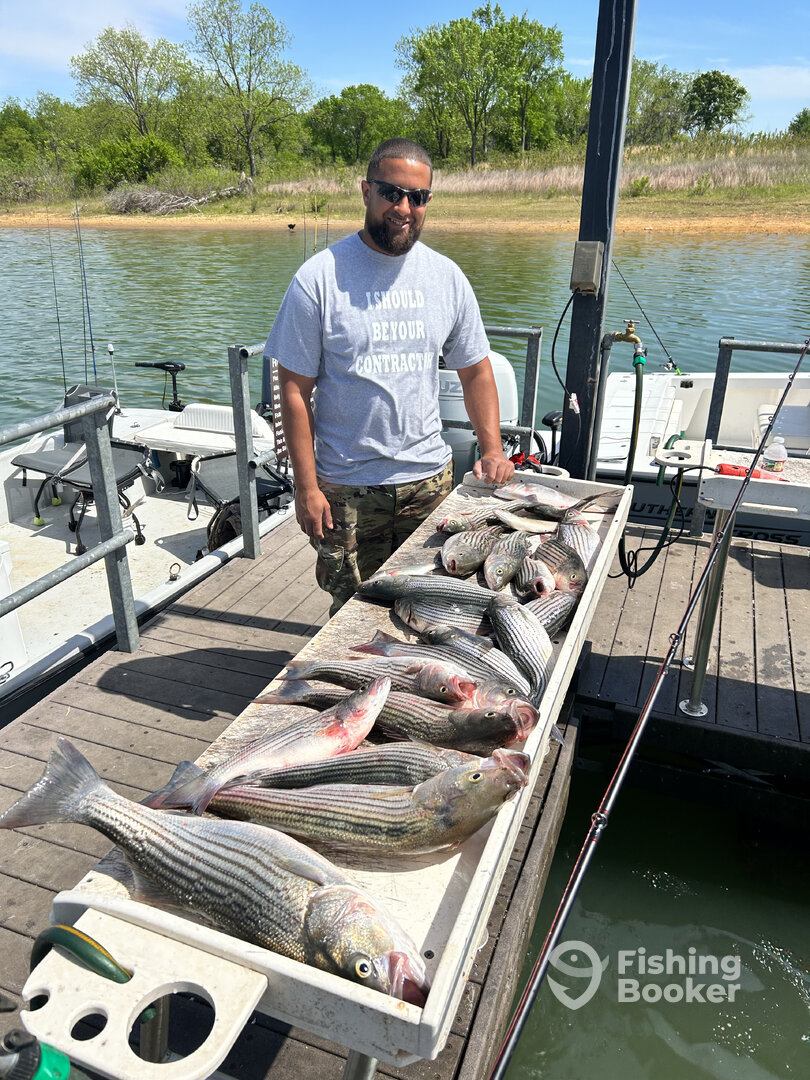 Kingston Report Photo 0