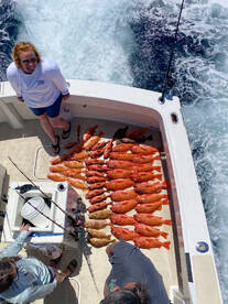 San Diego Report Photo 1