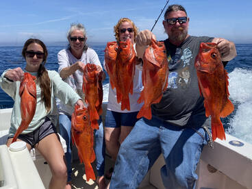 Freezer fillers on our half day and long