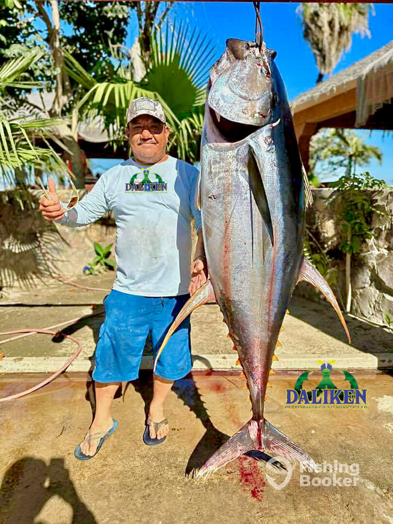 San Jose del Cabo Report Photo 0