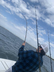 New York City Report Photo 2