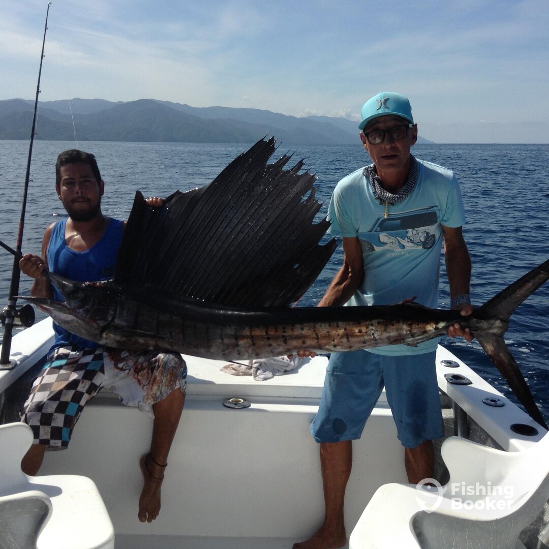 Puerto Vallarta Report Photo 0