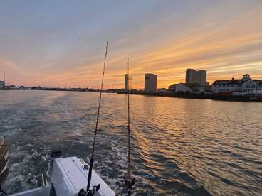 Wrapping up Tog Season - Excited for Flo