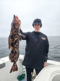 San Diego Report Photo 2