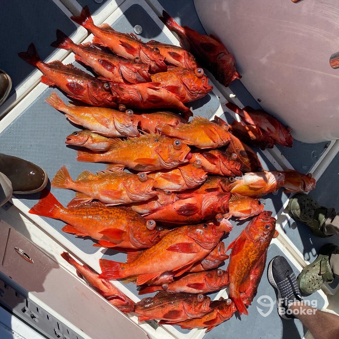 San Diego Report Photo 0