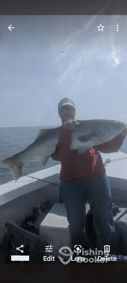 Crisfield Report Photo 0