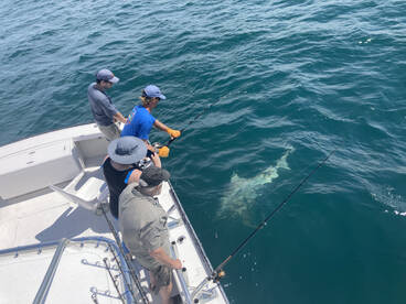 Nags Head Report Photo 2